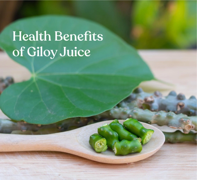 Benefits of adding Giloy Juice to Your Diet
