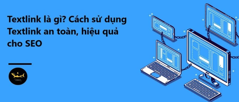 Cách Sử Dụng Textlink Hiệu Quả Và An Toàn Cho SEO Web