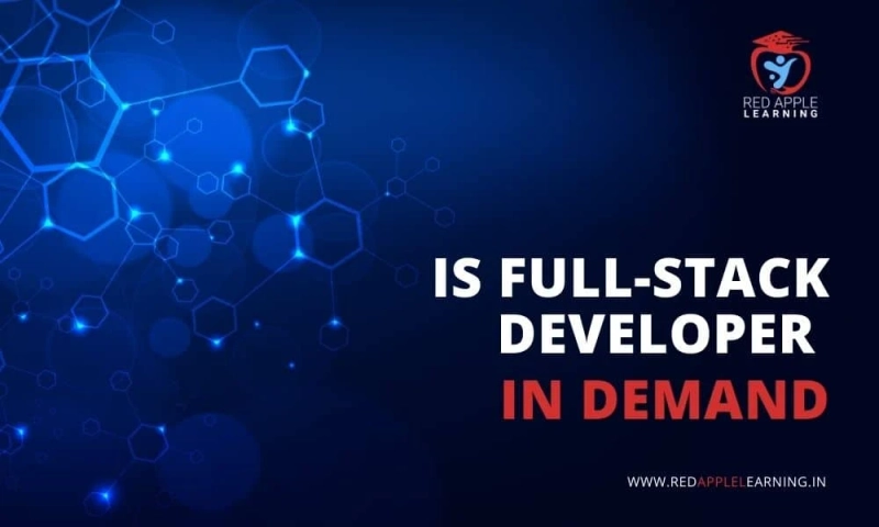 Reasons Why Full-Stack Developers are in Demand