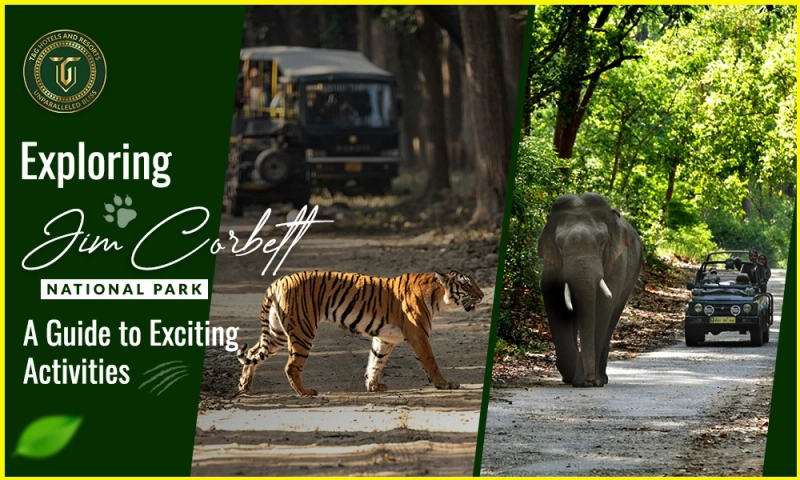 Exploring Jim Corbett National Park: A Guide to Exciting Activities