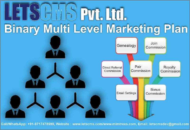 Binary System Network Marketing | MLM Binary Plan Formula