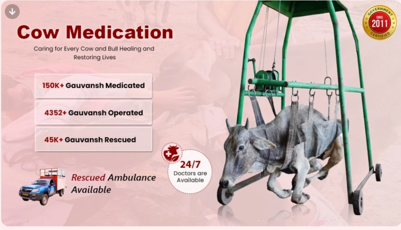 Krishnayan Medical Help for Cows — Lifeline for Injured and Sick Gauvansh