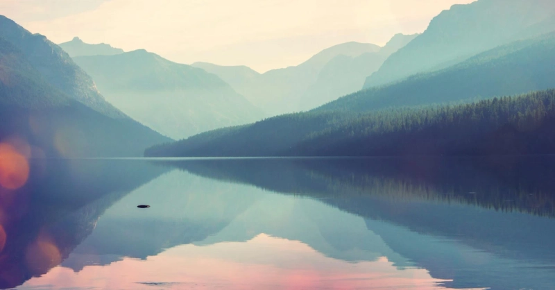 Building Tomorrow: How Sustainable Architecture Is Reshaping Modern Living