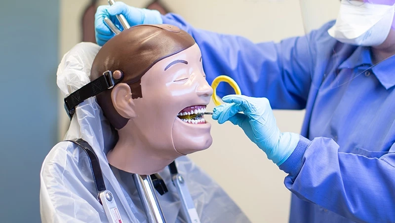 Dental Assistant vs Dental Hygienist: A Guide on How to Become a Dental Hygienist