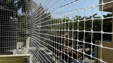 Bird Netting Installation Services in Ghaziabad: A Simple Way to Keep Birds Away