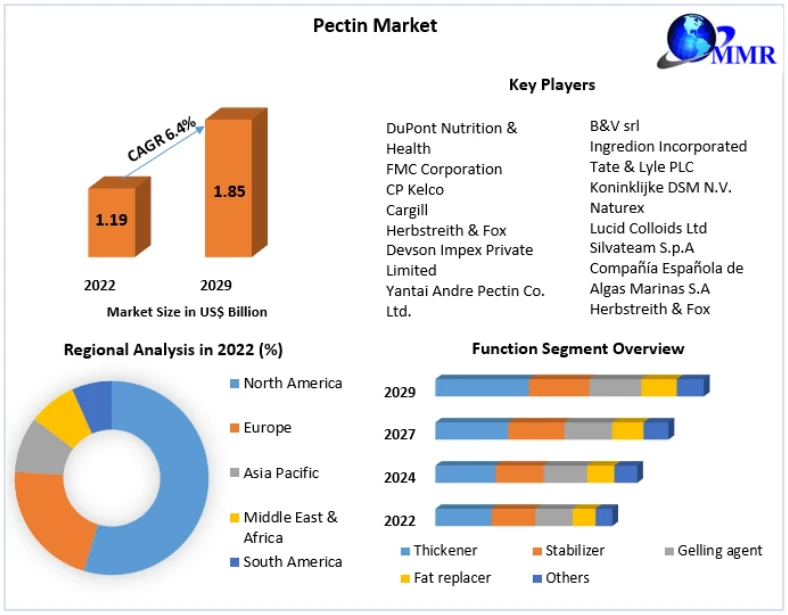 Global Pectin Market Trends, Size, Top Leaders, Future Scope and Outlook 2029