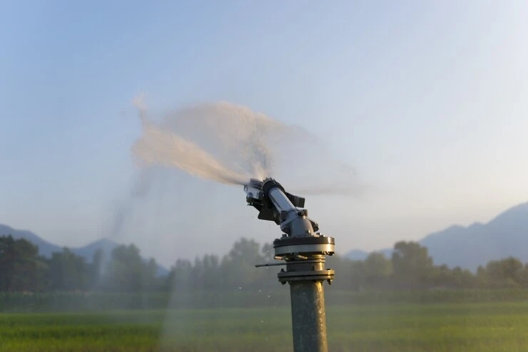 Reliable Sprinkler Maintenance for Long-Term Landscape Health in Jefferson, Georgia