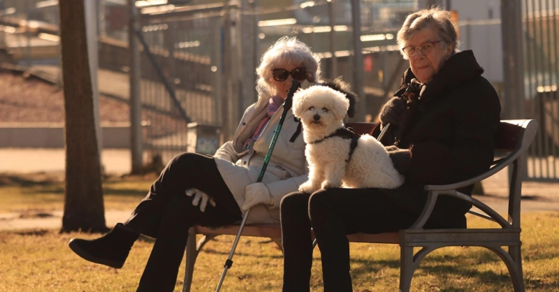Why Owning a Pet is the Secret to Living Longer: A Look at the Health Benefits for Elderly Individuals