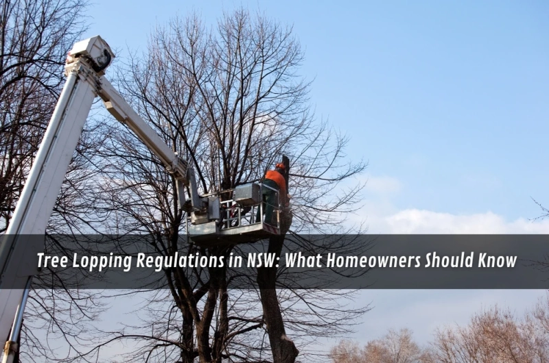 Tree Lopping Regulations in NSW: What Homeowners Should Know