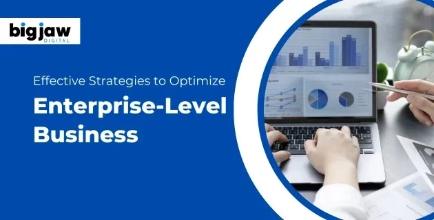 Effective Strategies to Optimize Enterprise-Level Business