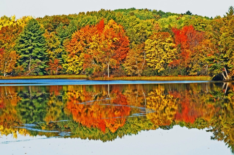 Why Are L‍ak‍e Rentals P‍erfect for Qui‌et Esca‌pes Tod‌ay?