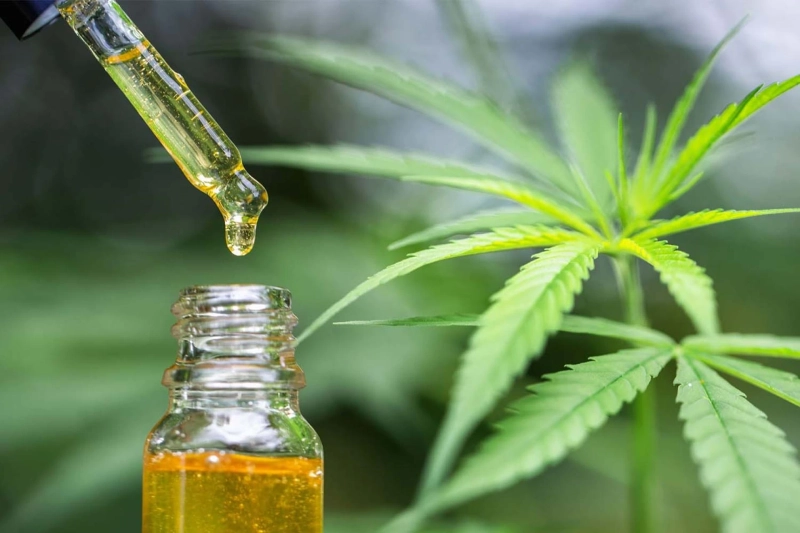 The Lazy Man's Guide To CTFO CBD OIL