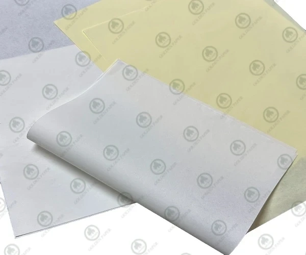 Bible Paper 