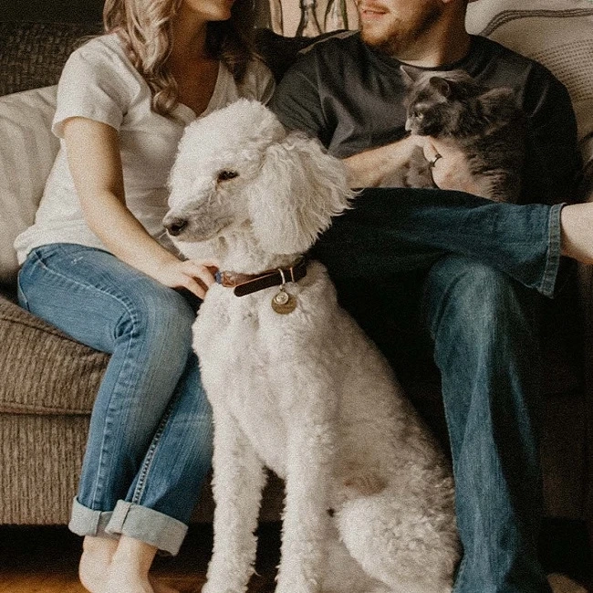 How CBD Products for Dogs Support Joint Health and Anxiety Relief