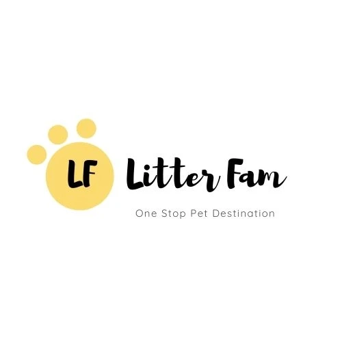 Get Labrador Puppies In Bangalore