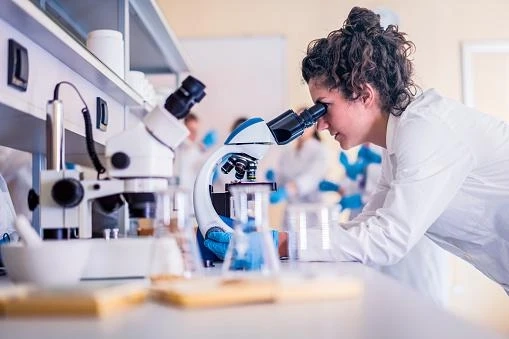 Endoscopic Stricture Management Devices Market Size and Growth Forecast : Top Manufacturers,Future Developments,Regional Analysis.