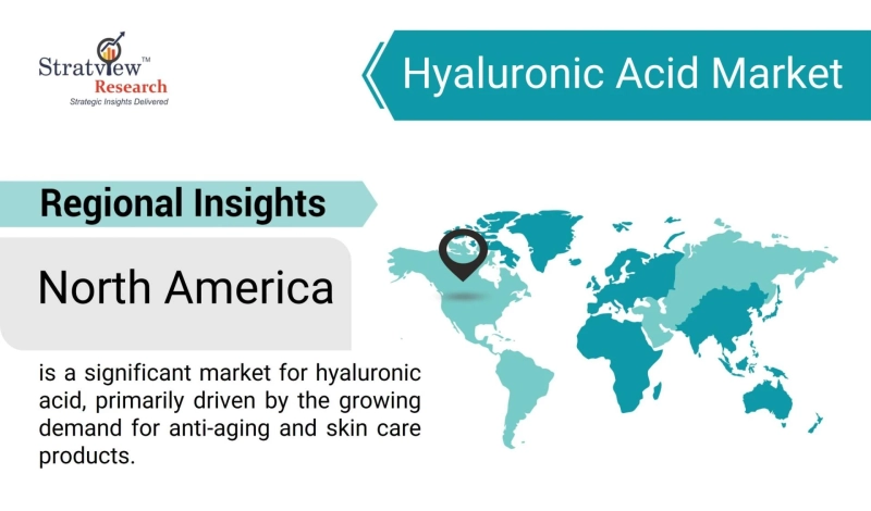 Competitive Landscape of the Hyaluronic Acid Market: Key Players and Strategies