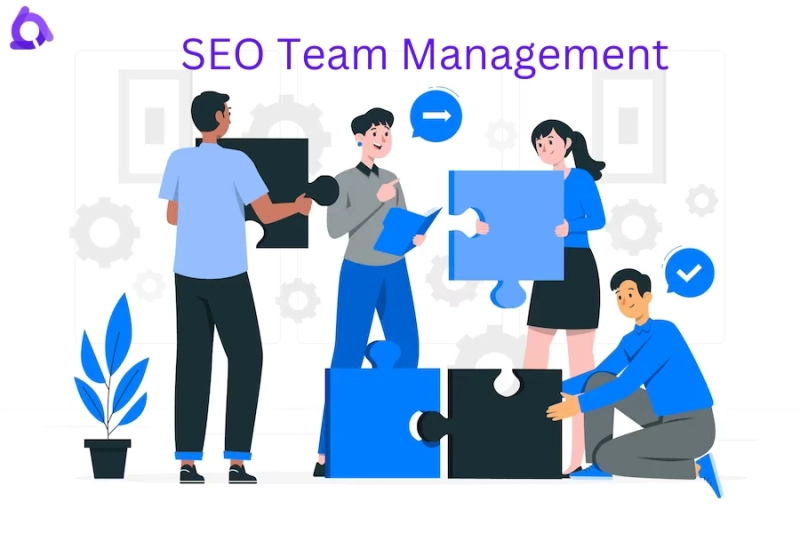 Effective Strategies for Orchestrating SEO Team Success