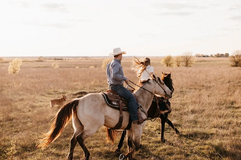 Why Managing Flies and Ticks Is So Important for Your Horses and Dogs
