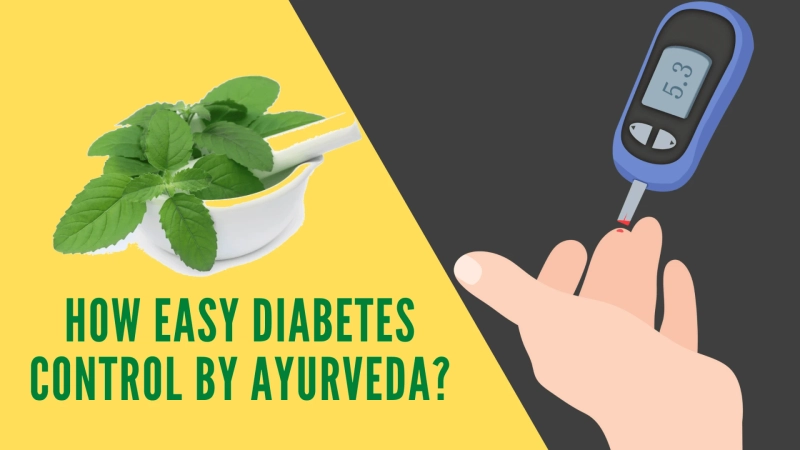 How Easy Diabetes Control By Ayurveda?