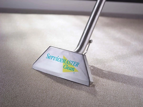 What to Do With a Flooded Carpet