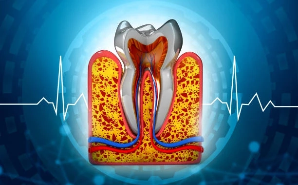 Root Canals Explained: Saving Teeth from Infection