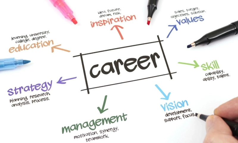 Everything You Need to Know About Career in Marketing