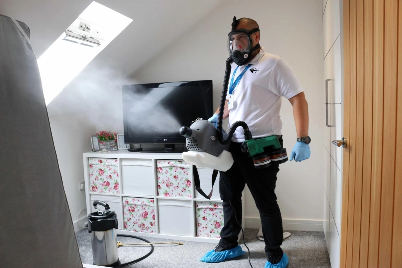 Prevent Infestations with Expert Pest Control London