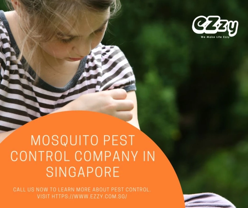 Protect Against Dengue | Mosquito Control Ezzy Singapore