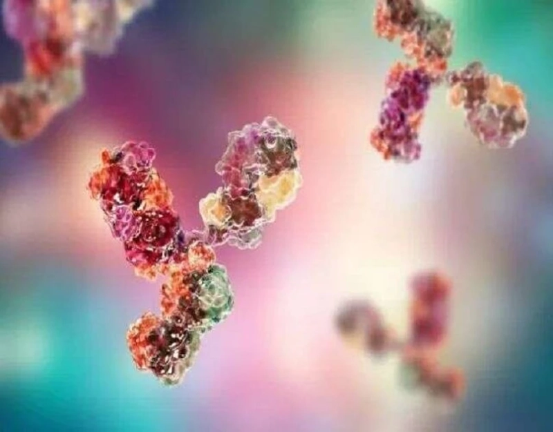 US Cancer Antibodies Market Trends, Application and Regional Forecast to 2028