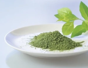 Tăng cường chức năng gan nhờ bột chiết xuất trà xanh