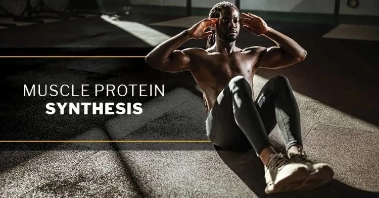 Buy Pentadex 300 for Proper Protein Synthesis in Muscles