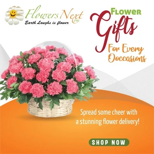 Unforgettable Moments: Create Lasting Memories with Flowers from Online Japanese Florists