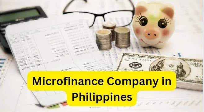 An Innovative Microfinance for Sustainable Local Development in the Philippines