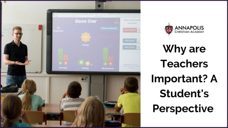 Why are Teachers Important? A Student's Perspective