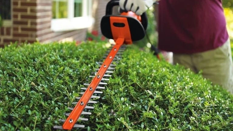 Electric Hedge Trimmer Industry Analysis, Future Growth, Segmentation, Competitive Landscape, Key Trends & Forecast 2022 to 2032