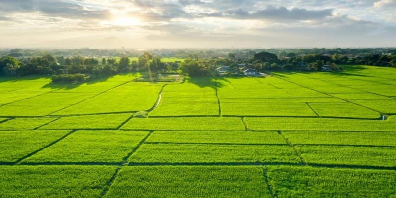 Explore SJR Vivo City Nelamangala – Invest in Land