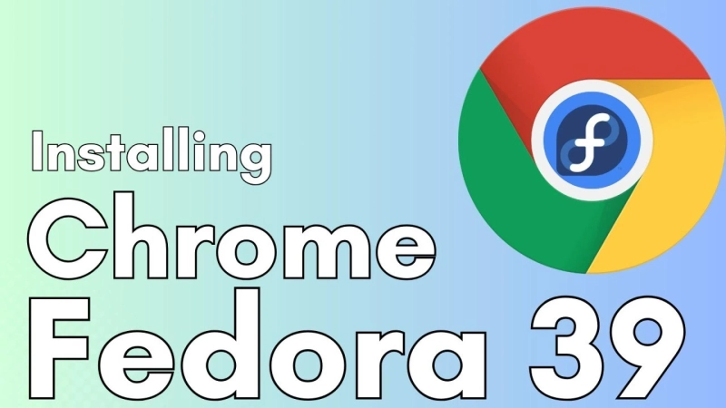 More efficient Help to make sure you Using Google and bing Silver for Fedora Linux 39 with Airport terminal