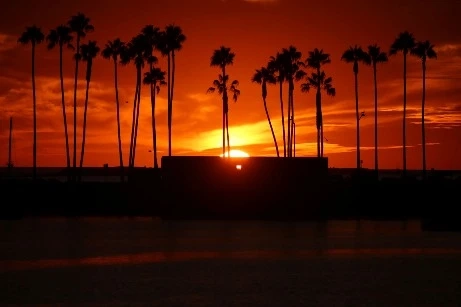 Discover San Diego by Sea: The Ultimate Guide to Boat Charters and Private Tours!