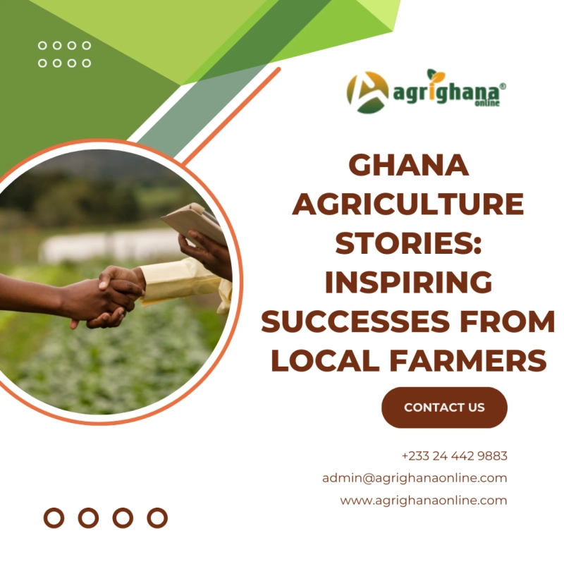 Ghana Agriculture Stories: Inspiring Successes from Local Farmers