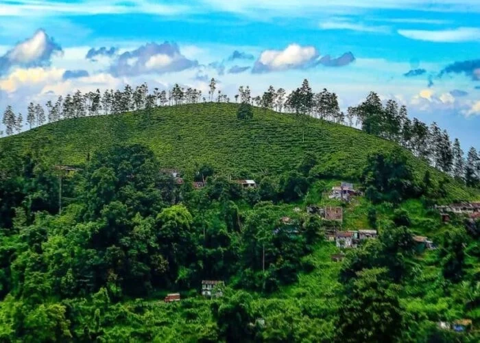 Explore the Enchanting Andaman Islands: A Comprehensive Guide to Culture, Attractions, and Ferry Services