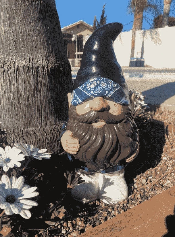 Cholo Gnome: Unveiling the Unique Charm and Cultural Fusion of a Whimsical Icon