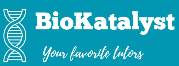 Self-Studying GCSEs or A-Levels: How to Take Exams in the UK