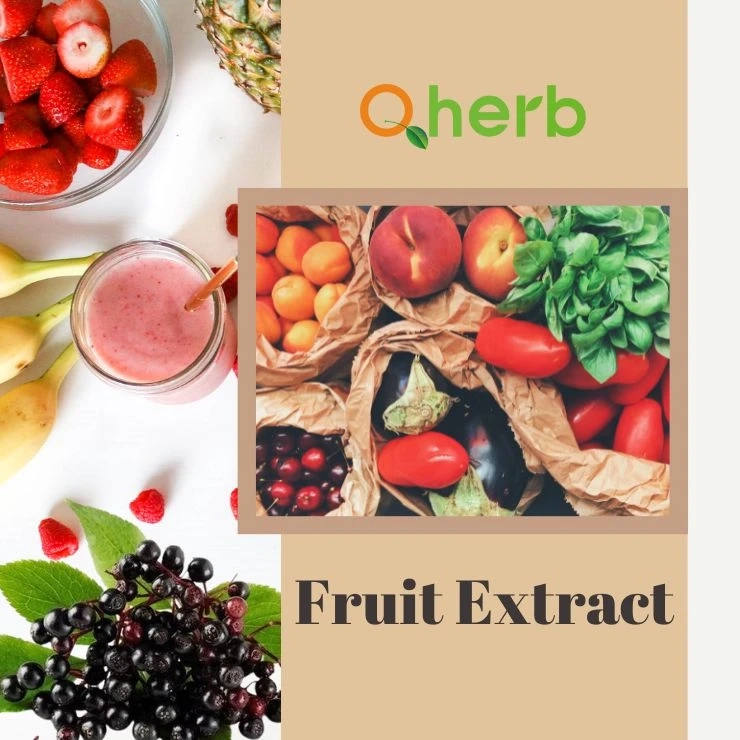 The Power of Fruit Extract: Benefits and Uses