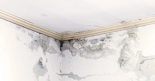 Benefits of Seepage Solutions Enhancing Infrastructure and Environmental Protection