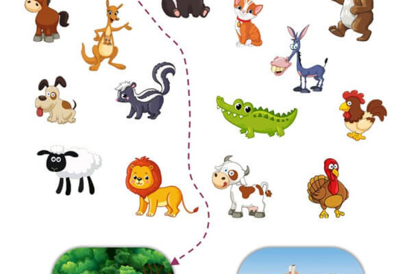 Classifications of Animals Worksheets