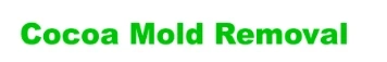Effective Strategies for Mold Removal in Cocoa Beach