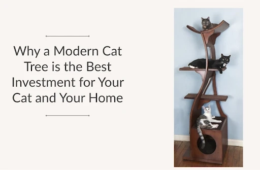 Why a Modern Cat Tree is the Best Investment for Your Cat and Your Home