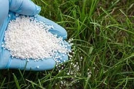 Biotechnology Crop Seeds Market 2030 By Product Type, Applications, Manufacturers, Revenue, Price