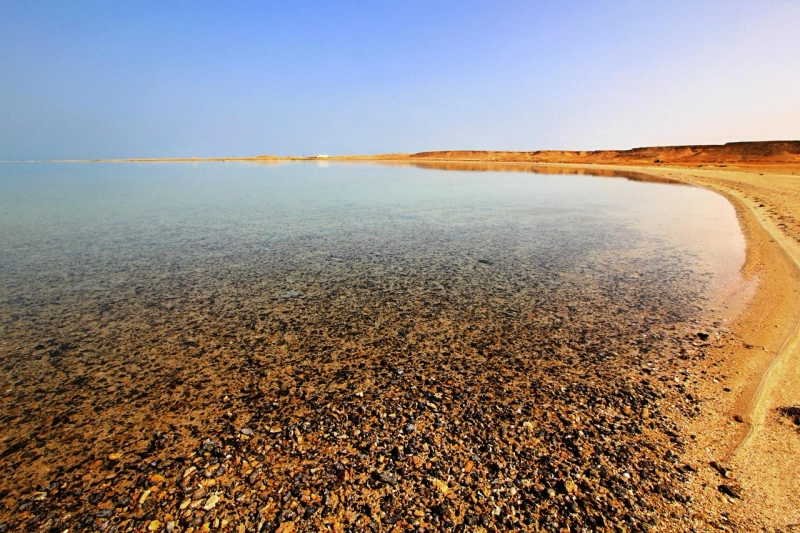 Gain Luxurious Experience of Regency Sealine Camp